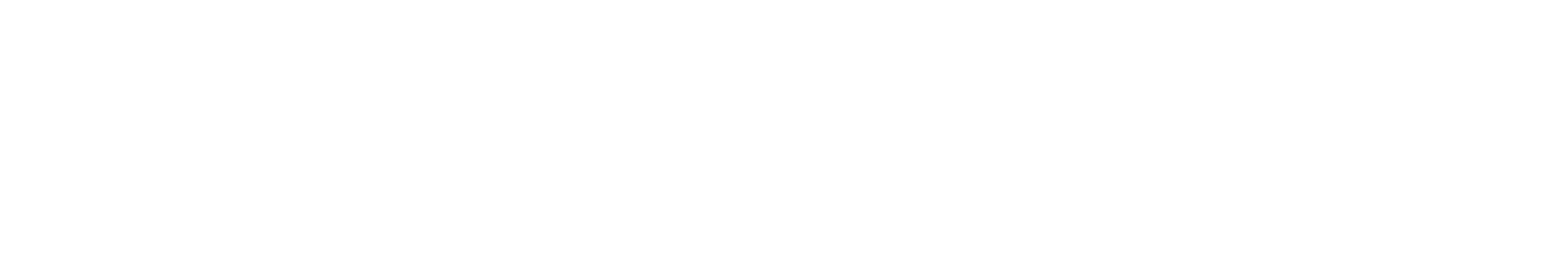 Raymarine logo
