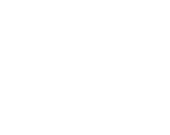Sandhamn Seglarhotell logo