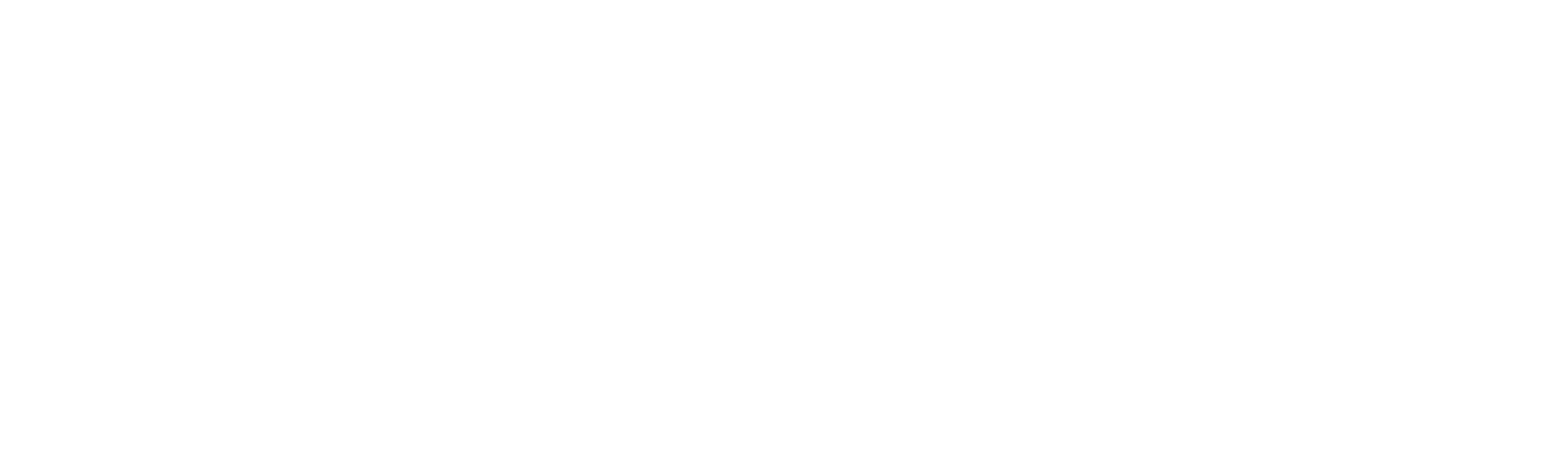 Team Marine logo